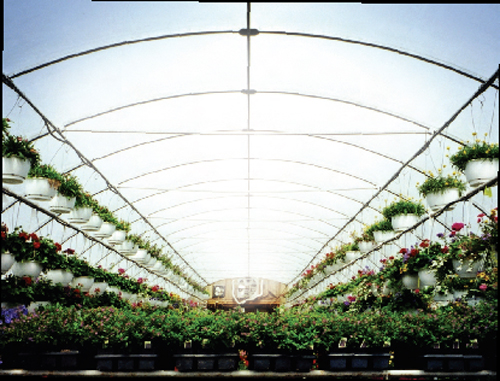 ThermaxPhoto1